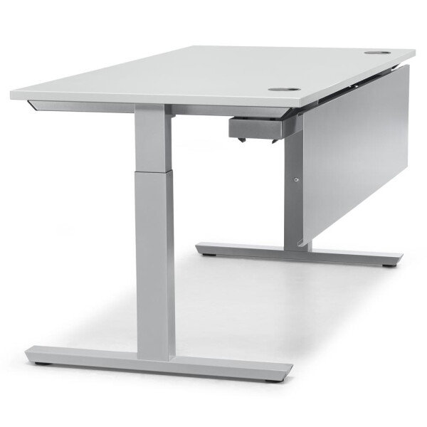Schreibtisch T-Fuß MULTI M, Lichtgrau/Alusilber RAL 9006, Rechteck, B1200 x T800 x H650-850